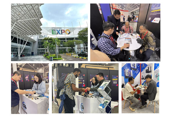 Сингапурская выставка